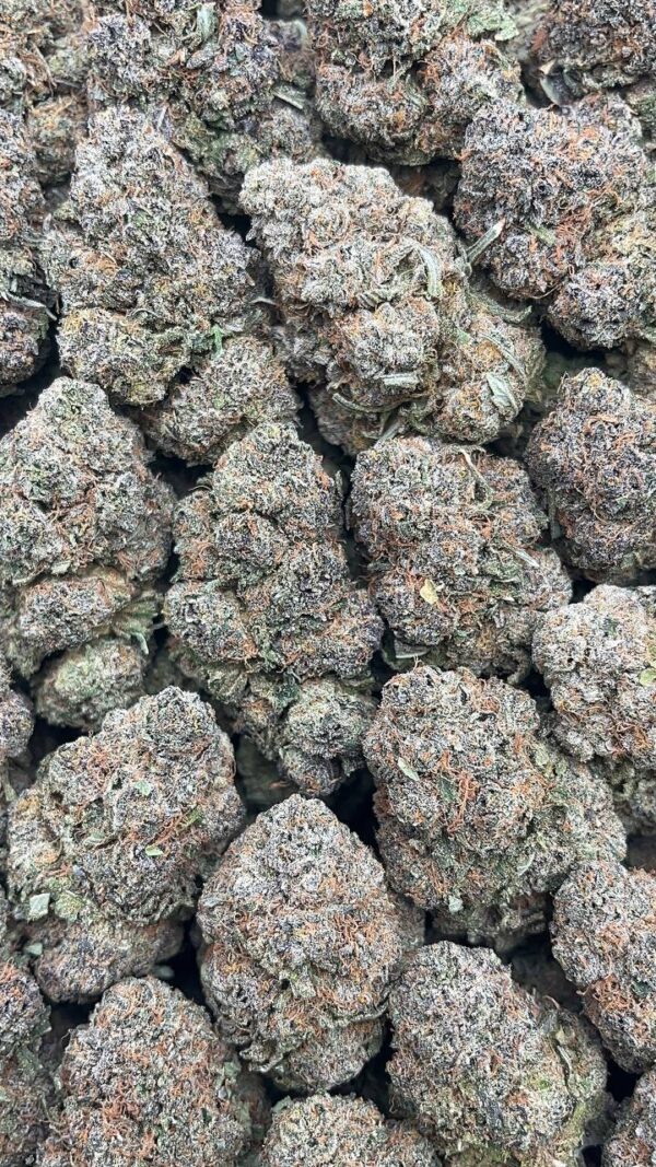 Diesel Dough-PK165