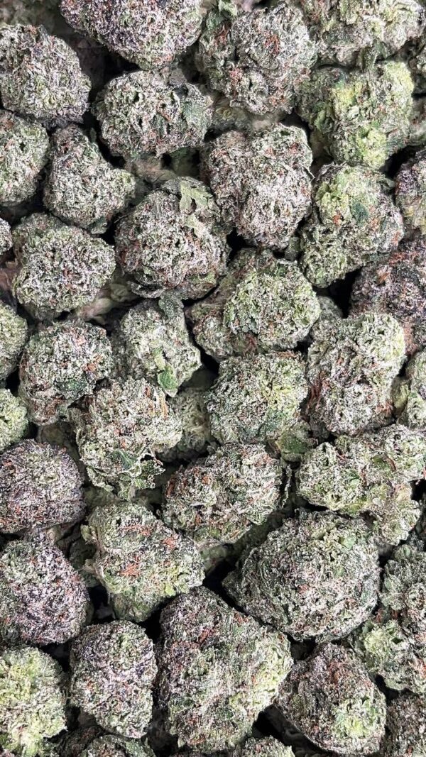 Purple Unicorn Smalls-PK658