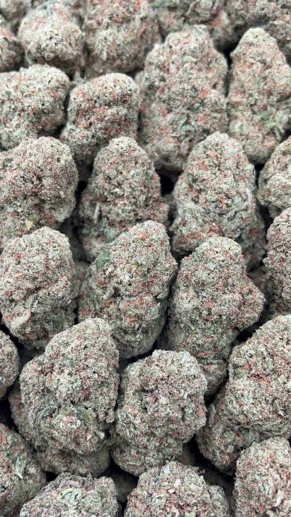 Guava Diesel - PK150