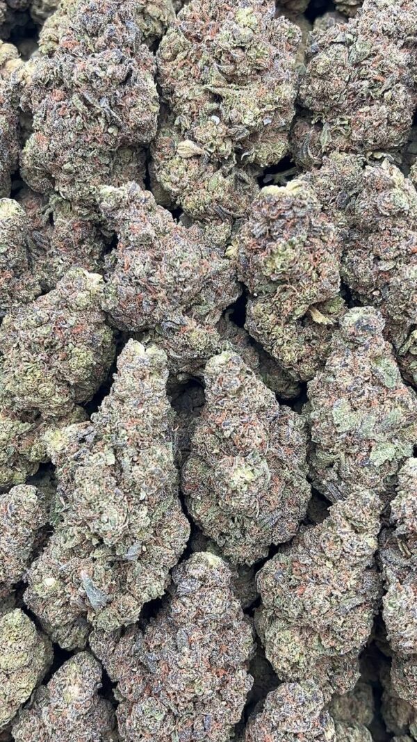 Gelato Mints - PK203