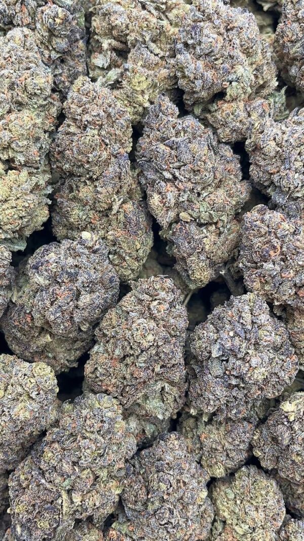 Jack Herer - PK224