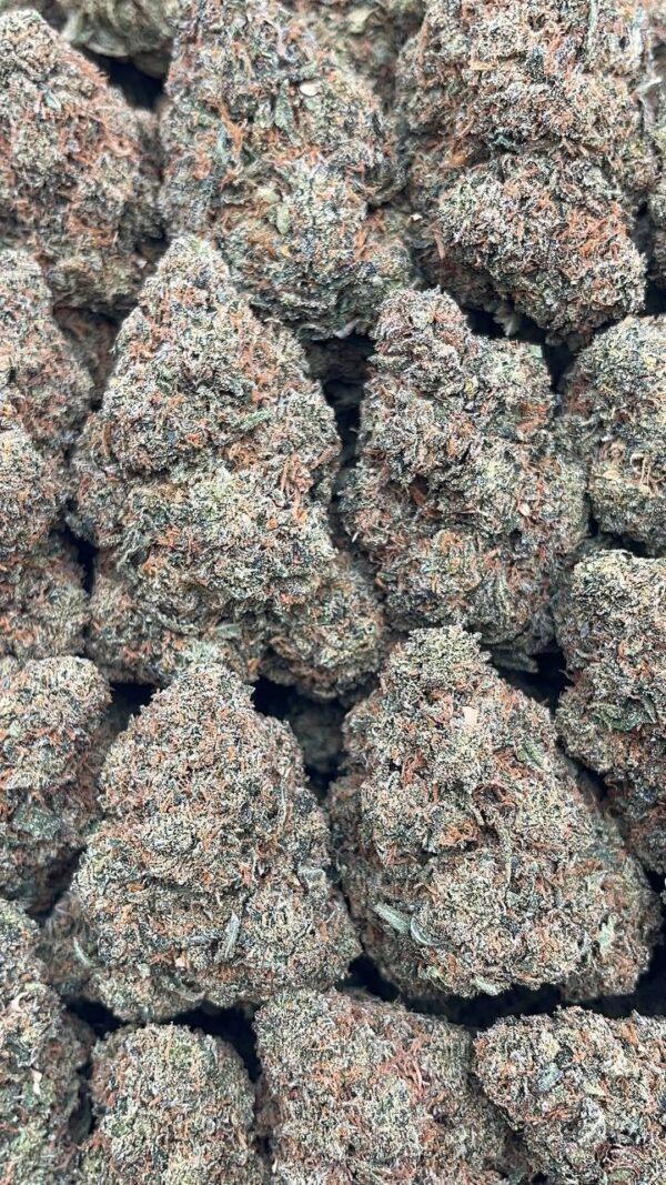 Peanut Butter Cup - PK225