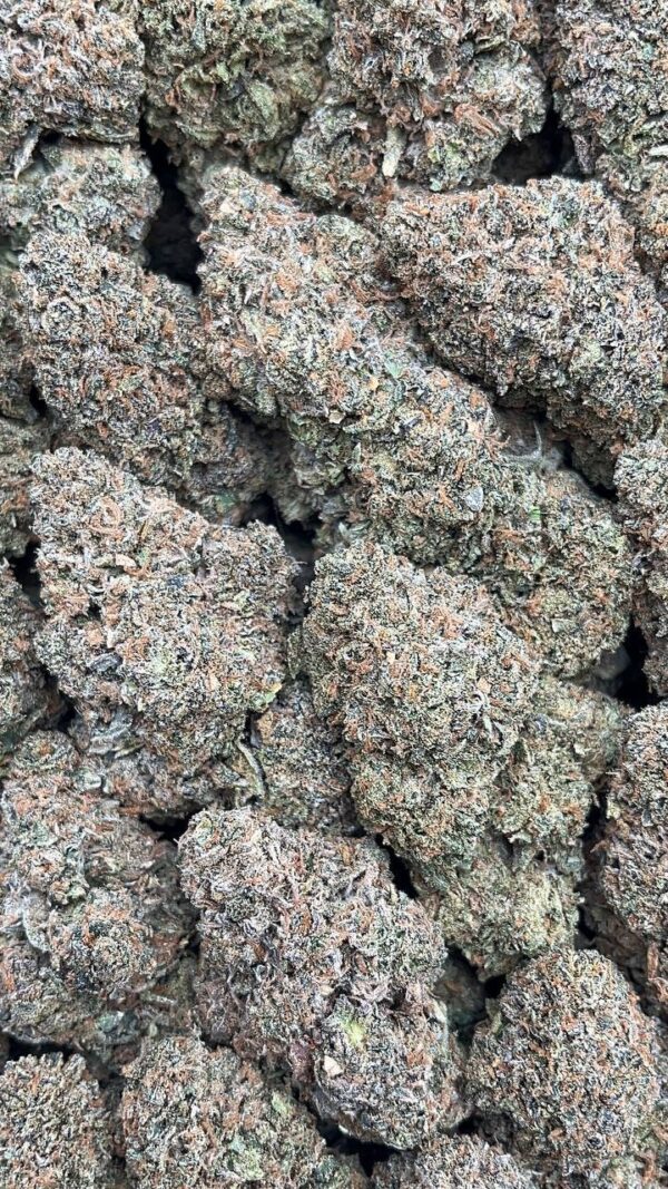 Cotton Candy Gelato - PK285
