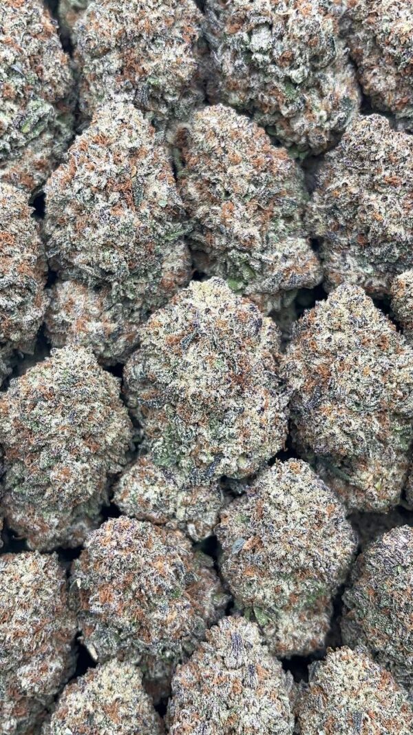 Ice Cream Cake - PK354