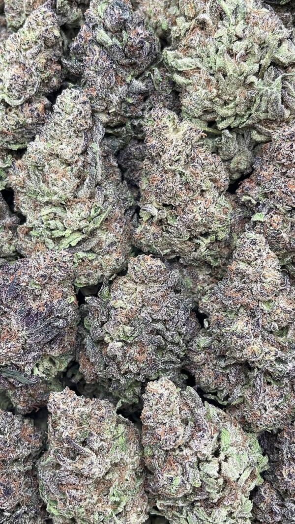 Moon Berry - PK380