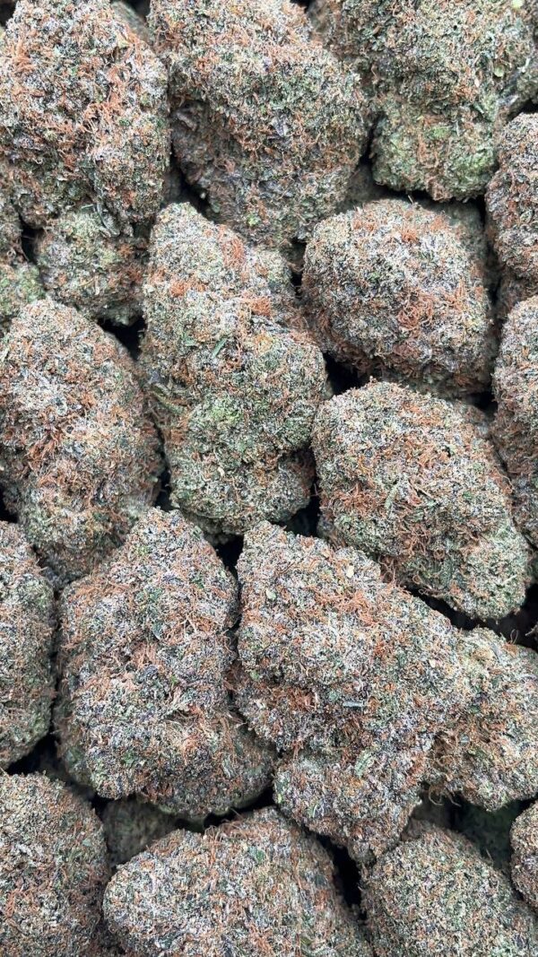 Mochi Gelato - PK382