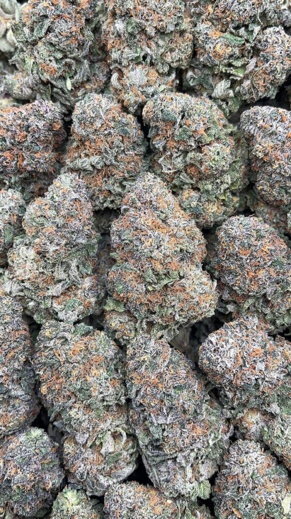 Ice Cream Cake - PK397