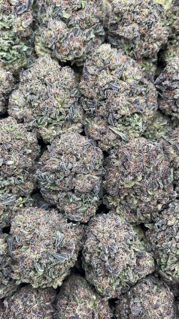 Super Silver Haze - PK398