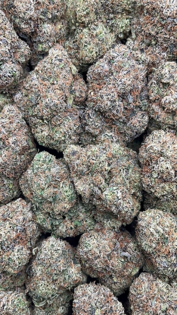 Chronic Thunder - PK402