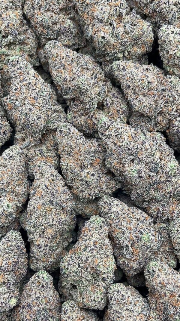 Blueberry Yum Yum - PK405