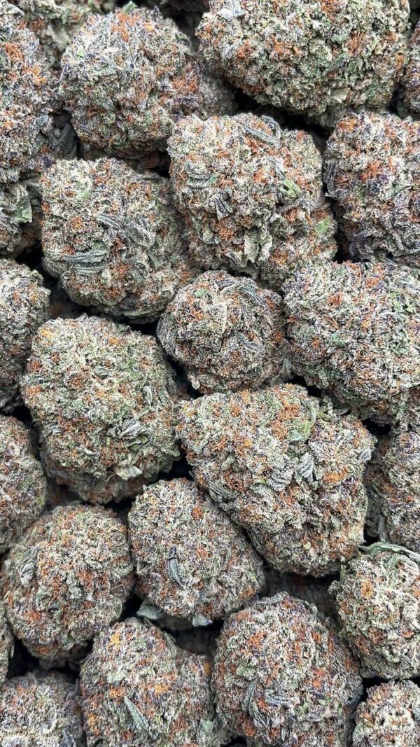 Gelato Cake - PK407