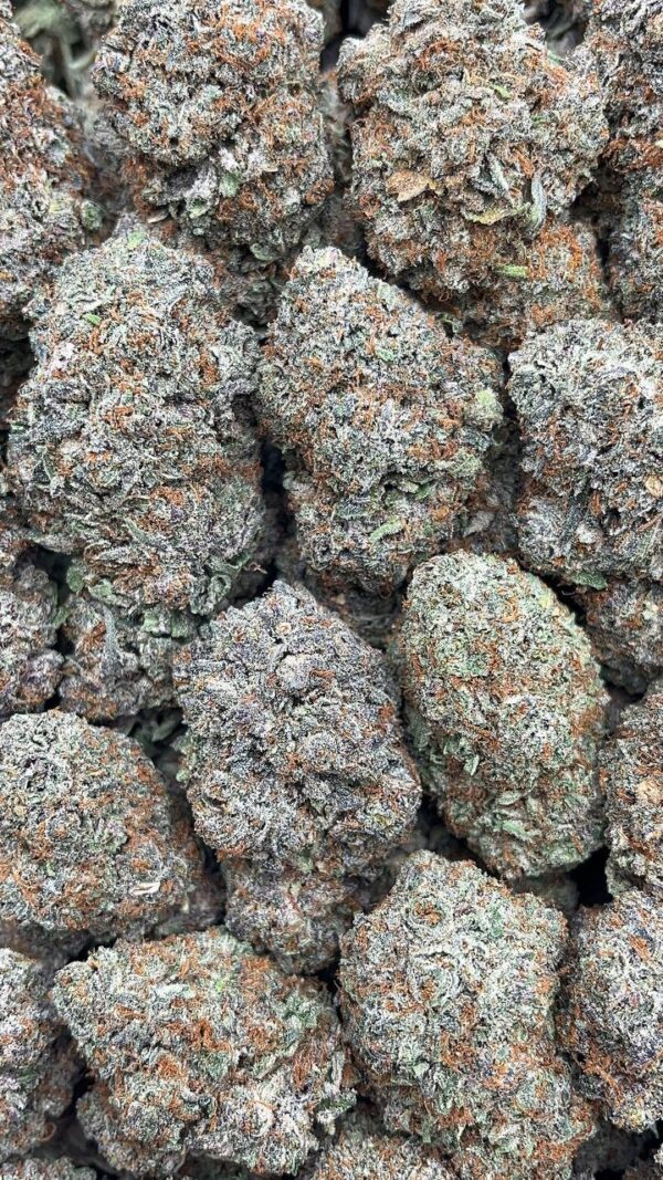 Oreo Blizzy - PK409