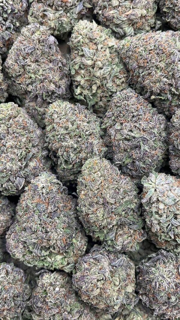Raspberry Cough - PK422