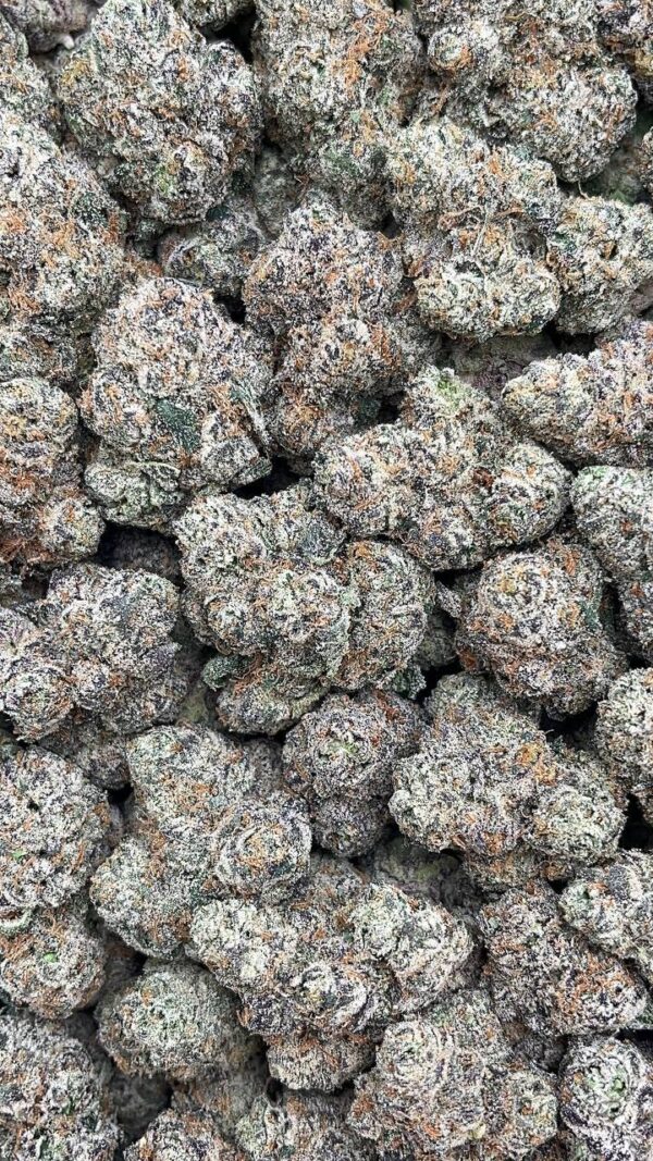 Slurricane - PK423