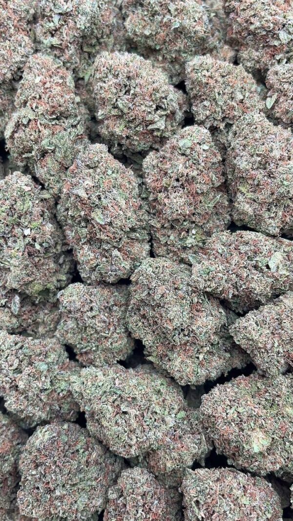 Phantom Cookies - PK432