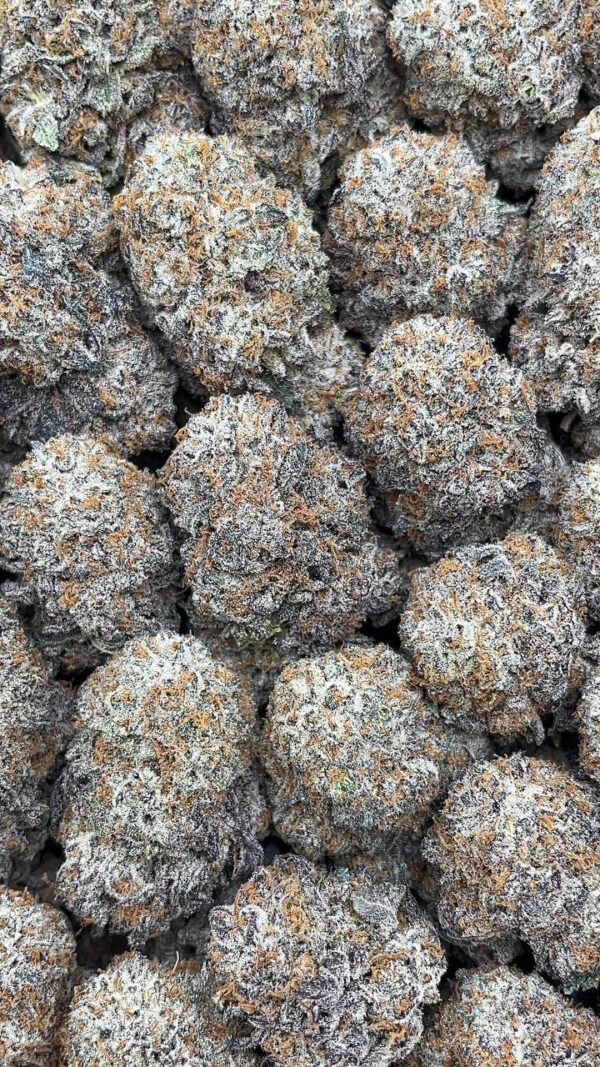 Super Sour Diesel - PK435