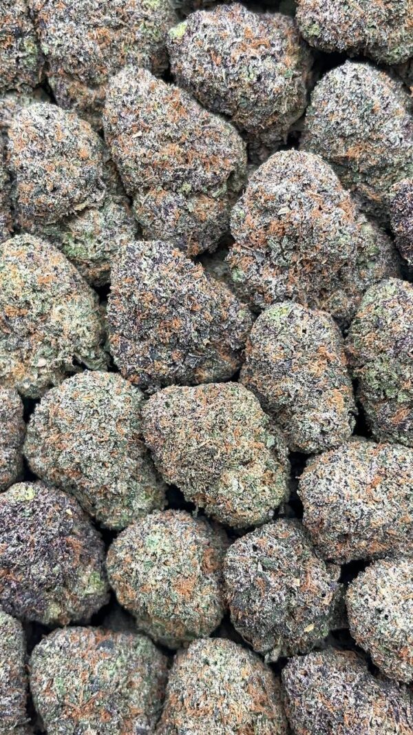 Lemon Cherry Gelatti- PK446