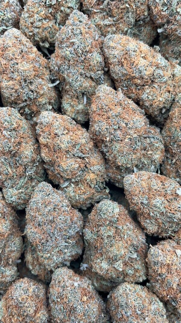 Peanut Butter Crunch - PK450