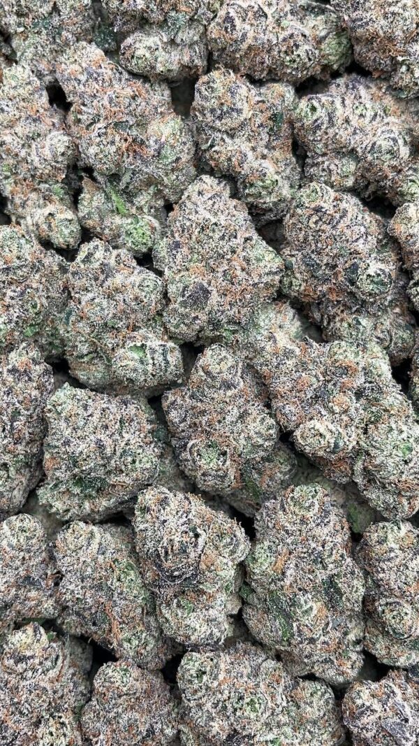 Blue Dream - PK476