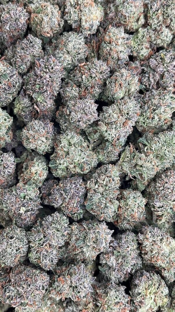 Candy Crush Mediums - PK478
