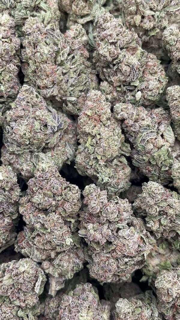 Hash Burger - Pk487
