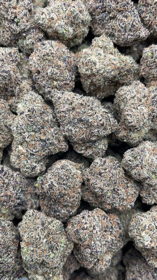 Pink Gum Drop - PK494