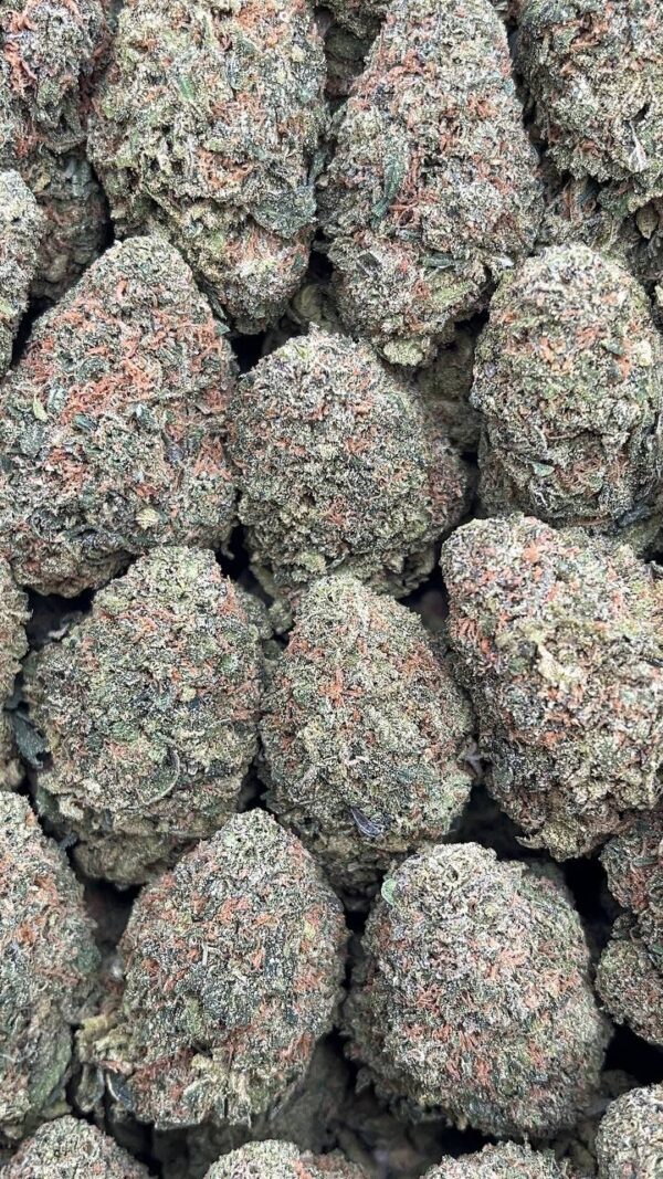 Frosted Lemon Cake - PK499