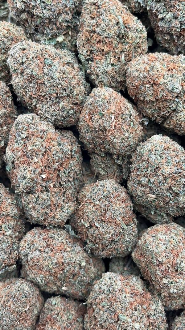 Modified Kush - PK500