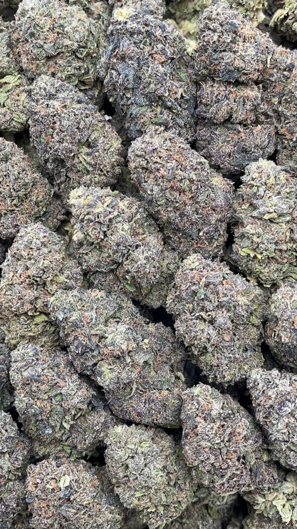 Space Runtz - PK514