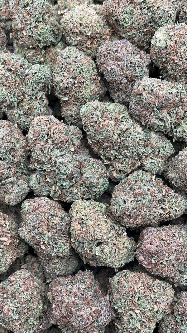 Sweet Pucker - PK516