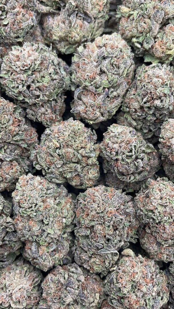 Candy Gas - PK520
