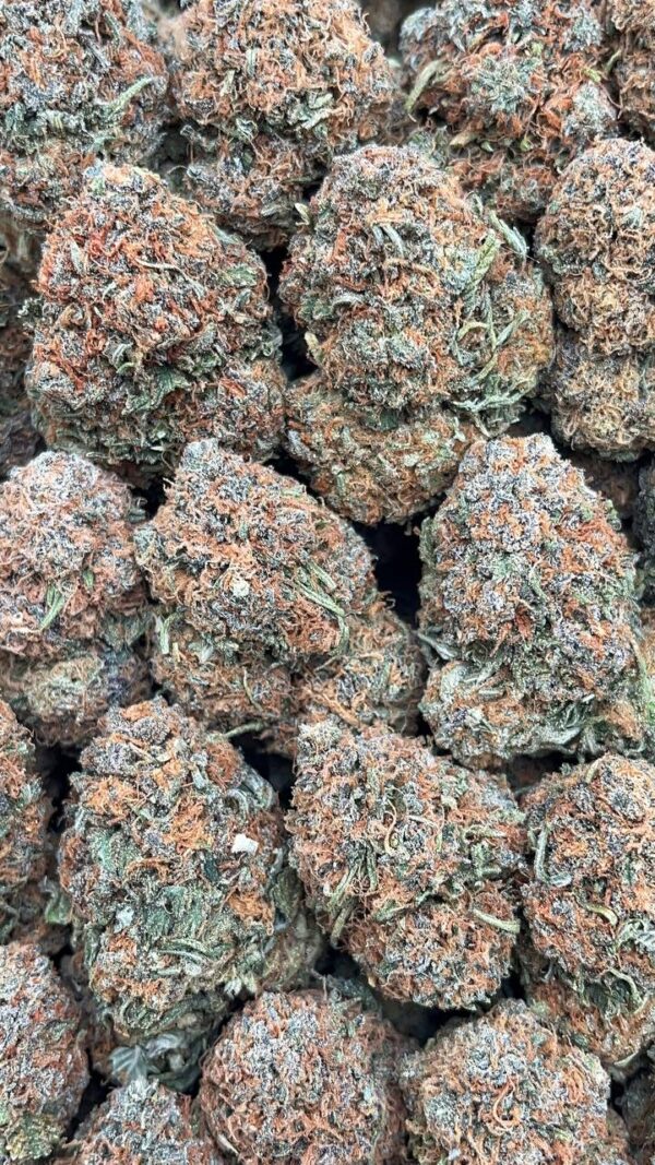 Fruit Loops - PK521
