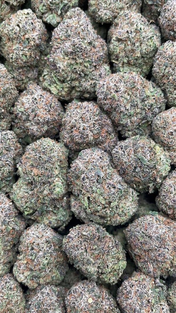 Lemon Cherry Gelato - PK527