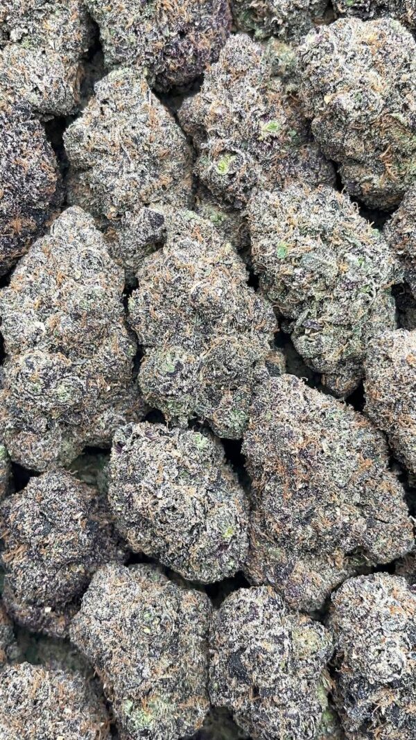 Magic Gum Drops - PK538