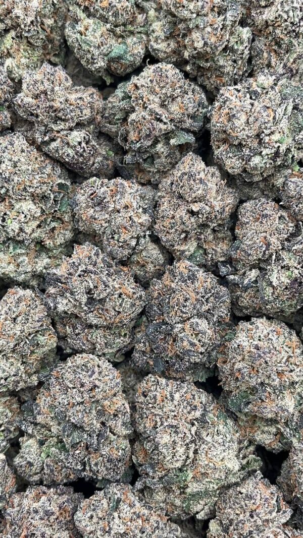 Papaya Cake - PK541