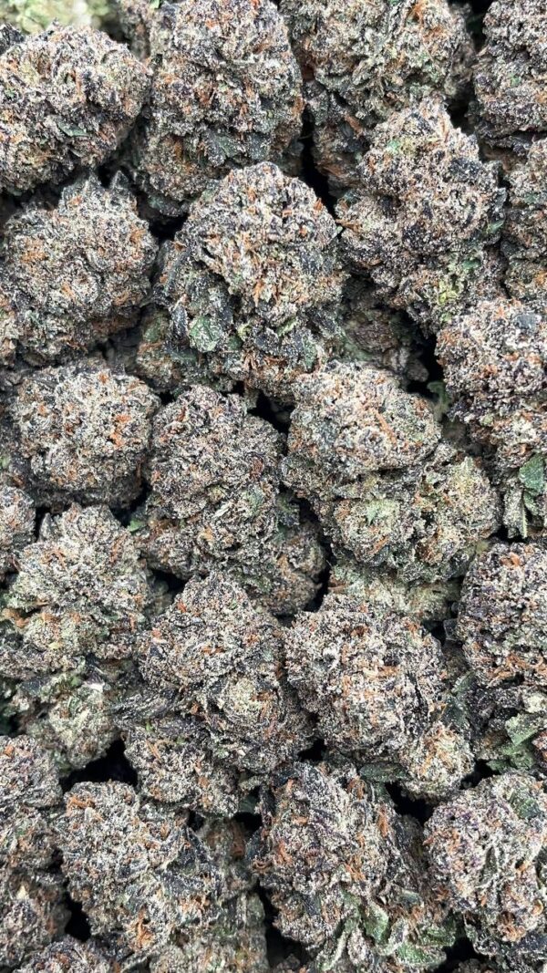 Poison Glue - PK546