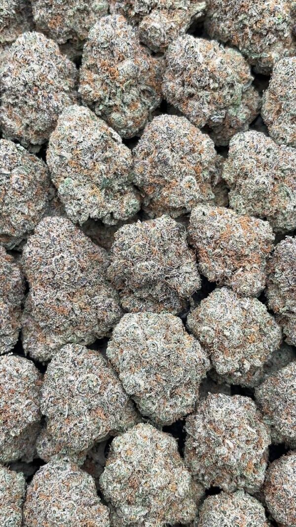 Jack Smack - PK550